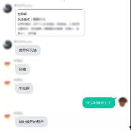 世界杯最新爆料信息网,赛程、阵容、焦点赛事一网打尽  第3张