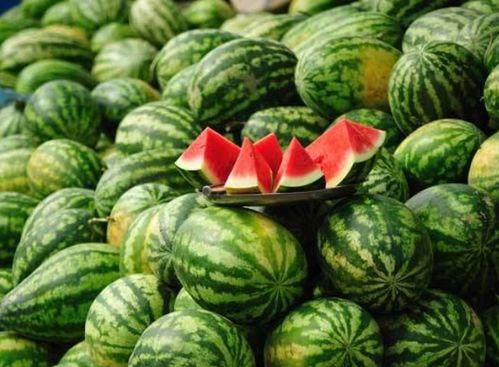 吃瓜事件网红2024,网络风云再起 第3张 吃瓜事件网红2024,网络风云再起 第3张